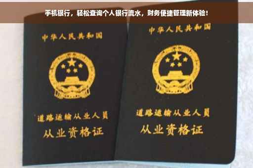 手机银行，轻松查询个人银行流水，财务便捷管理新体验！