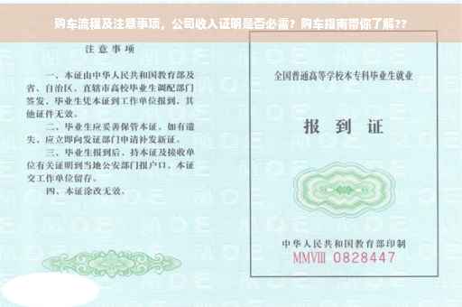 购车流程及注意事项，公司收入证明是否必需？购车指南带你了解??