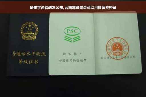 楚雄宇泽待遇怎么样,云南哪些景点可以用教师资格证