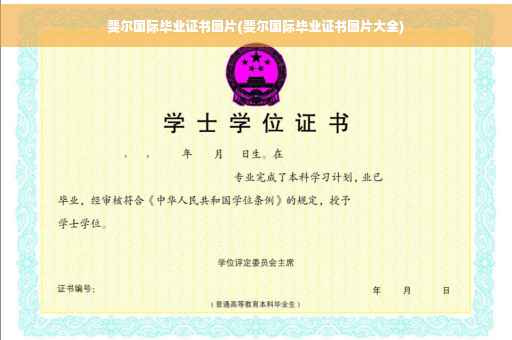 斐尔国际毕业证书图片(斐尔国际毕业证书图片大全)