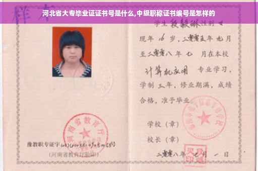 河北省大专毕业证证书号是什么,中级职称证书编号是怎样的