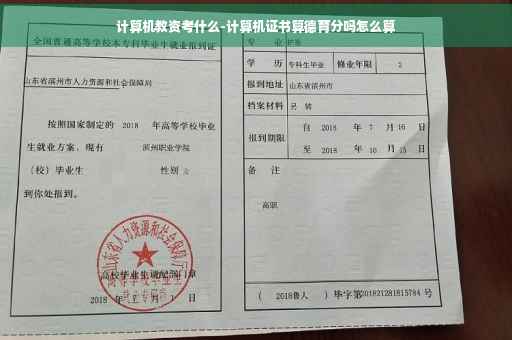 计算机教资考什么-计算机证书算德育分吗怎么算