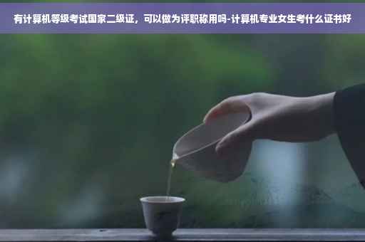 有计算机等级考试国家二级证，可以做为评职称用吗-计算机专业女生考什么证书好