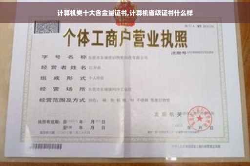 计算机类十大含金量证书,计算机省级证书什么样