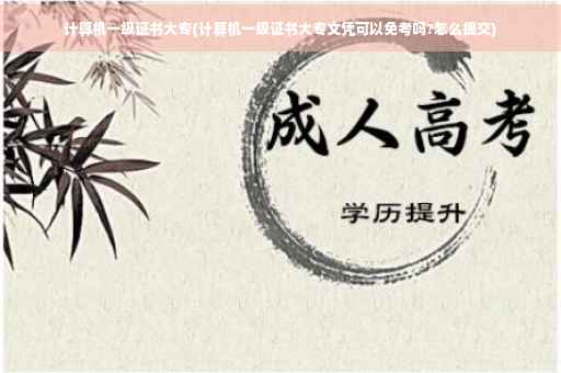 计算机一级证书大专(计算机一级证书大专文凭可以免考吗?怎么提交)