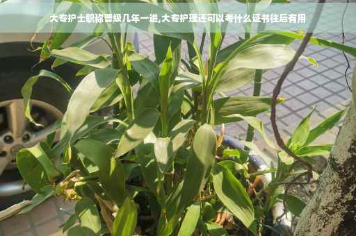 大专护士职称晋级几年一进,大专护理还可以考什么证书往后有用