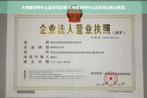 大专都没考什么证书可以考(大专都没考什么证书可以考公务员)