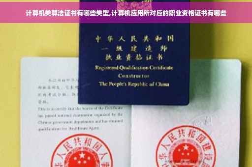 计算机类算法证书有哪些类型,计算机应用所对应的职业资格证书有哪些