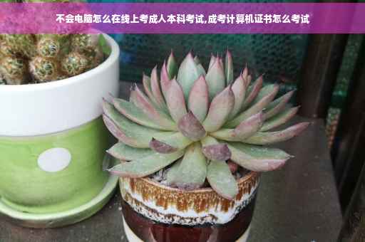 不会电脑怎么在线上考成人本科考试,成考计算机证书怎么考试