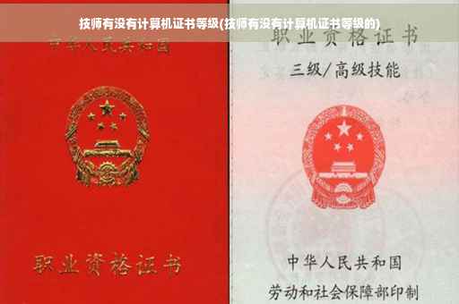 技师有没有计算机证书等级(技师有没有计算机证书等级的)