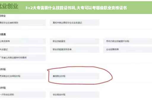 3+2大专需要什么技能证书吗,大专可以考哪些职业资格证书