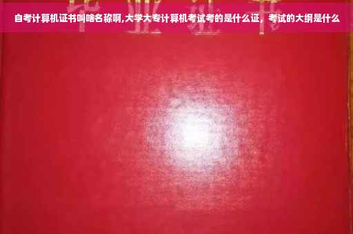 自考计算机证书叫啥名称啊,大学大专计算机考试考的是什么证，考试的大纲是什么