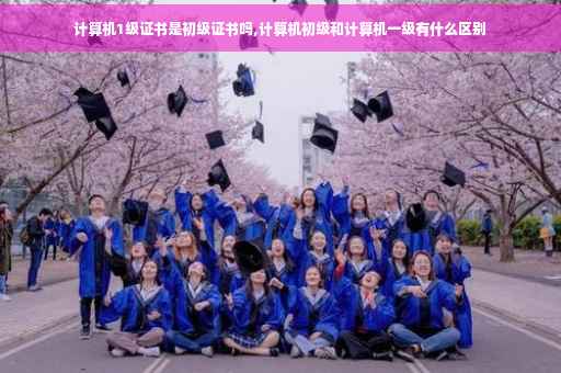 计算机1级证书是初级证书吗,计算机初级和计算机一级有什么区别