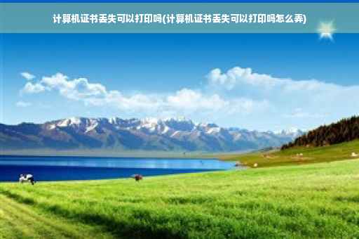 计算机证书丢失可以打印吗(计算机证书丢失可以打印吗怎么弄)