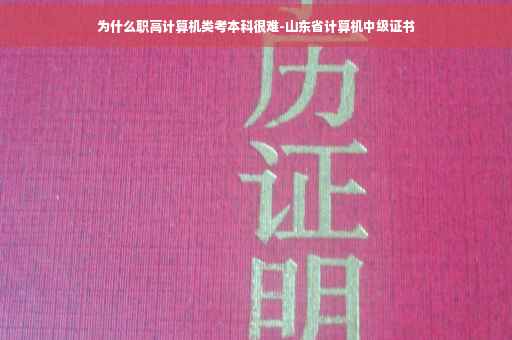 为什么职高计算机类考本科很难-山东省计算机中级证书