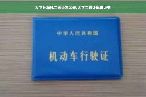 大学计算机二级证怎么考,大学二级计算机证书