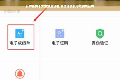 计算机类十大含金量证书,全国计算机等级初级证书