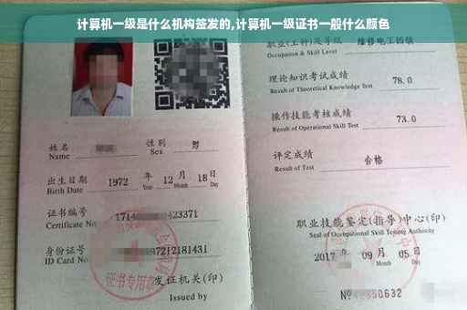 计算机一级是什么机构签发的,计算机一级证书一般什么颜色
