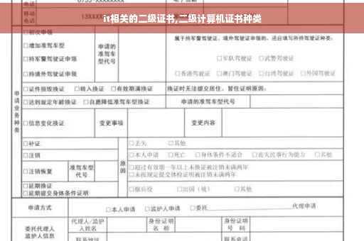 it相关的二级证书,二级计算机证书种类