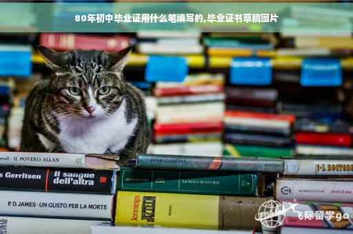 80年初中毕业证用什么笔填写的,毕业证书草稿图片