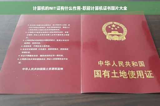 计算机的NIT证有什么作用-职称计算机证书图片大全