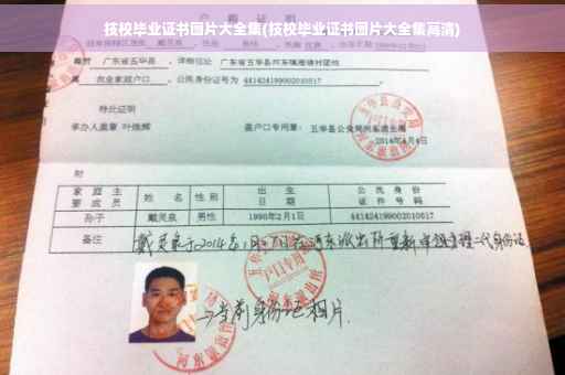 技校毕业证书图片大全集(技校毕业证书图片大全集高清)