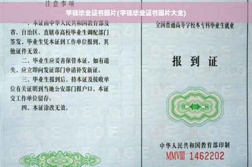 学徒毕业证书图片(学徒毕业证书图片大全)