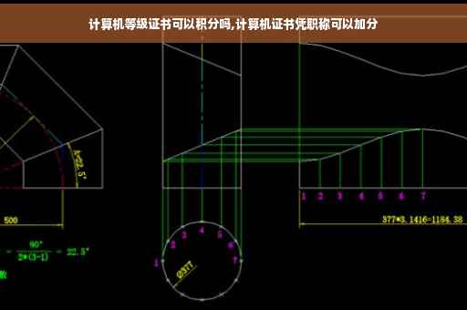 计算机等级证书可以积分吗,计算机证书凭职称可以加分