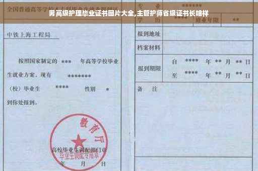 男高级护理毕业证书图片大全,主管护师省级证书长啥样