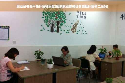 职业证书是不是计算机级数(国家职业资格证书包括计算机二级吗)