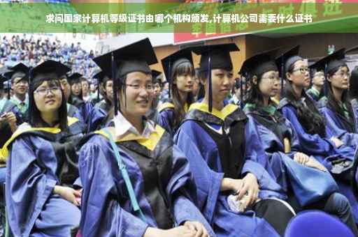 求问国家计算机等级证书由哪个机构颁发,计算机公司需要什么证书