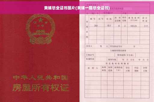 黄埔毕业证书图片(黄埔一期毕业证书)