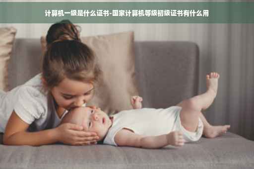 计算机一级是什么证书-国家计算机等级初级证书有什么用