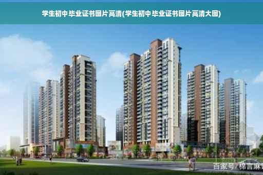 学生初中毕业证书图片高清(学生初中毕业证书图片高清大图)