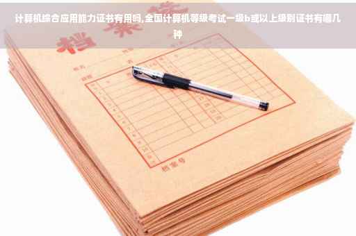 计算机综合应用能力证书有用吗,全国计算机等级考试一级b或以上级别证书有哪几种