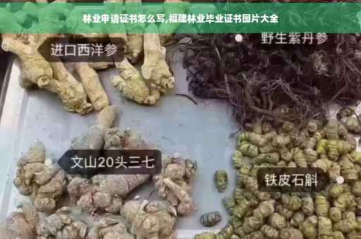 林业申请证书怎么写,福建林业毕业证书图片大全