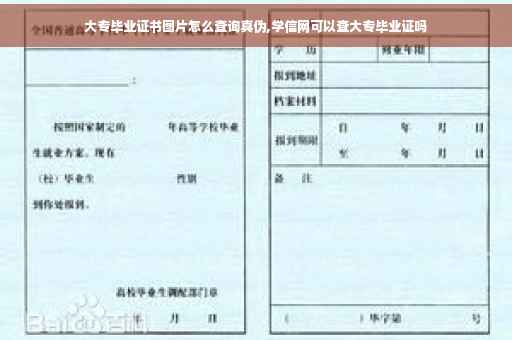 大专毕业证书图片怎么查询真伪,学信网可以查大专毕业证吗