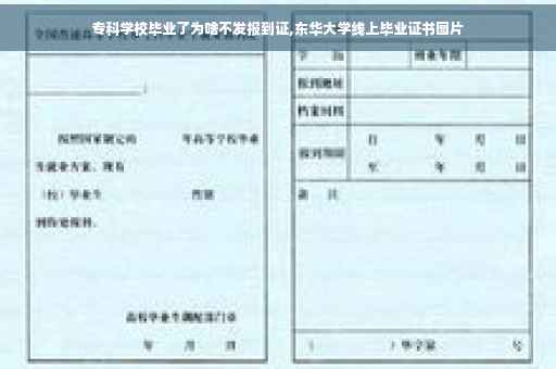 专科学校毕业了为啥不发报到证,东华大学线上毕业证书图片