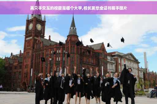 两只手交互的校徽是哪个大学,校长发毕业证书握手图片