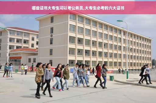 哪些证书大专生可以考公务员,大专生必考的六大证书
