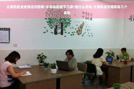 计算机职业资格证书四级/中级技能属于几级?有什么用吗,计算机证书等级有几个级别