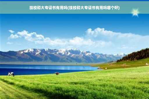 技校和大专证书有用吗(技校和大专证书有用吗哪个好)