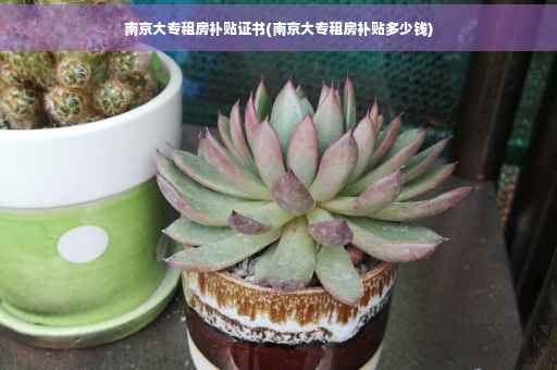 南京大专租房补贴证书(南京大专租房补贴多少钱)