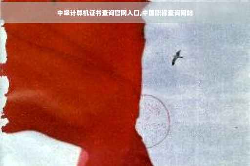 中级计算机证书查询官网入口,中国职称查询网站