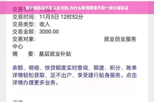 你计算机证书怎么补办的,为什么教育网查不到一级计算机证