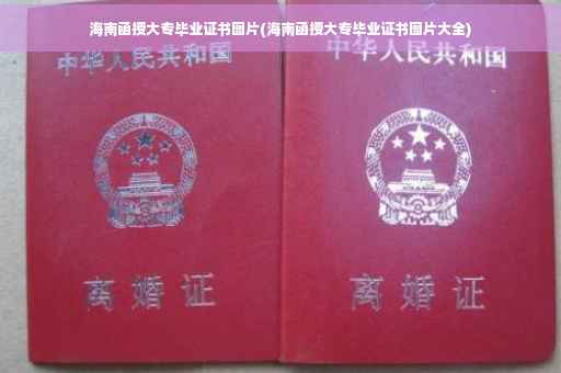 海南函授大专毕业证书图片(海南函授大专毕业证书图片大全)
