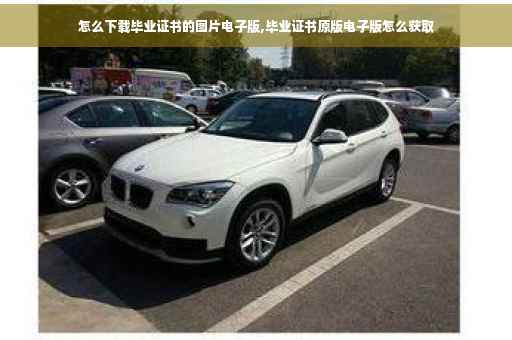怎么下载毕业证书的图片电子版,毕业证书原版电子版怎么获取