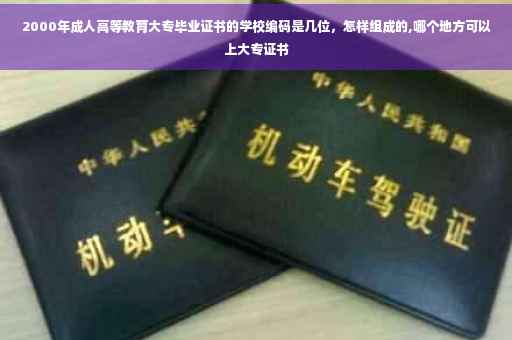 2000年成人高等教育大专毕业证书的学校编码是几位，怎样组成的,哪个地方可以上大专证书