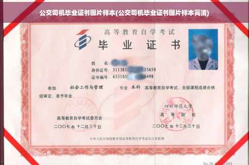 公交司机毕业证书图片样本(公交司机毕业证书图片样本高清)