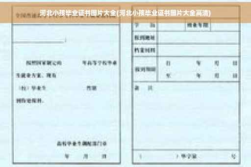河北小孩毕业证书图片大全(河北小孩毕业证书图片大全高清)